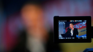 DJV: AfD-Fernsehsender w&auml;re "gesetzeswidrig"
