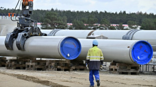 Interne Absprachen mit Bundesnetzagentur sollten wohl Nord Stream 2 vorantreiben
