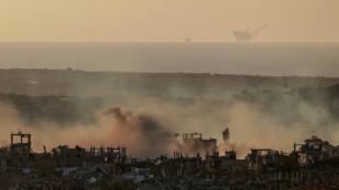 L'ONU réceptionne de l'aide humanitaire pour Gaza, Netanyahu se dit prêt à un cessez-le-feu temporaire