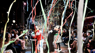 Disney profits top estimates on strength in theme park business