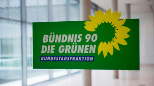 Gr&uuml;ne wollen in Rentenkommission der Koalition mitarbeiten - Linke &uuml;bt Kritik