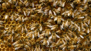 L'UFC-Que Choisir porte plainte contre le leader fran&ccedil;ais du miel