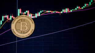 El bitc&oacute;in, la reina de las criptomonedas