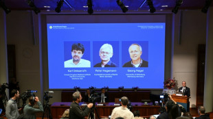 Le Nobel de m&eacute;decine r&eacute;compense un trio pour leurs travaux sur le cerveau