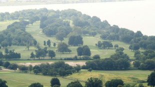 Trump-Pl&auml;ne durchkreuzt: US-Richterin stoppt Baumf&auml;llungen auf Golfplatz bis 26. Oktober