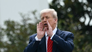 Le Brésil premier pays concerné par la hausse des droits de douane, l'Inde dans le collimateur