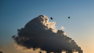 Internationale Finanzierungskonferenz in Bonn f&uuml;r Gr&uuml;nen Klimafonds