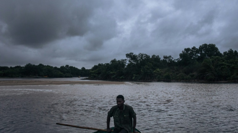 La deforestaci&oacute;n reduce las precipitaciones en zonas tropicales
