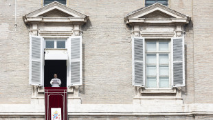 Il Papa, 'la mia solidariet&agrave; alle donne vittime di violenza'