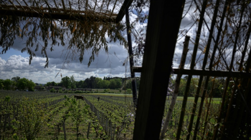 EU-Einigung auf Unterst&uuml;tzung f&uuml;r Winzer und Kennzeichnung f&uuml;r alkoholfreie Weine