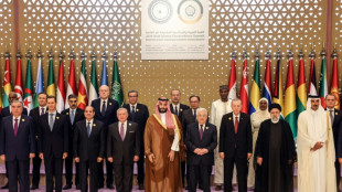 Arabische und muslimische L&auml;nder fordern UN-Resolution zu Stopp von Gaza-Angriffen 