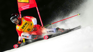 Switzerland's Meillard wins Schladming giant slalom