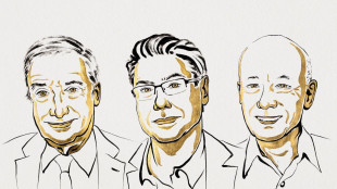 Il Nobel per l'economia ad Aghion, Howitt e Mokyr