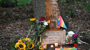Vandals uproot Berlin tree commemorating Pride attack victims