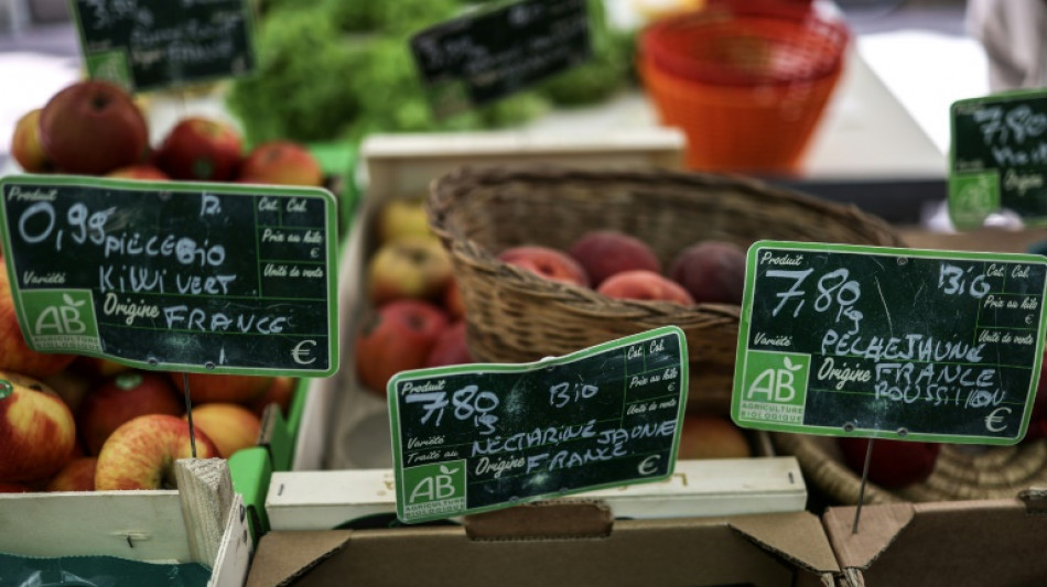 Face à la crise du bio, les agriculteurs d'Occitanie font le "dos rond"