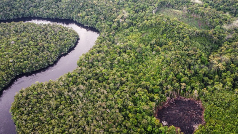 UN aims to set standards for scandal-hit carbon markets