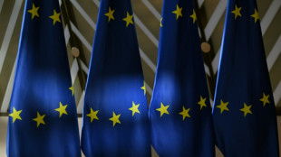 La cr&eacute;ation d'un super gendarme boursier europ&eacute;en en bonne voie