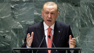 Erdogan, 'Israele pagher&agrave; il prezzo del genocidio a Gaza'
