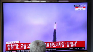 Seoul: Nordkorea feuert offenbar "neuartige" Rakete ab