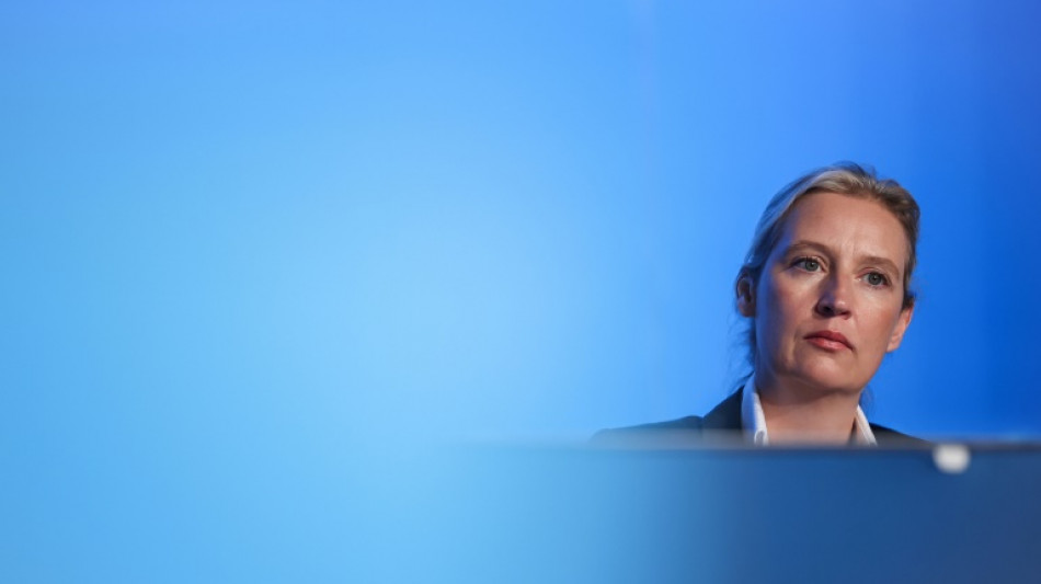 AfD-Vorsitzende Weidel h&auml;lt sich Kanzlerkandidatur weiter offen