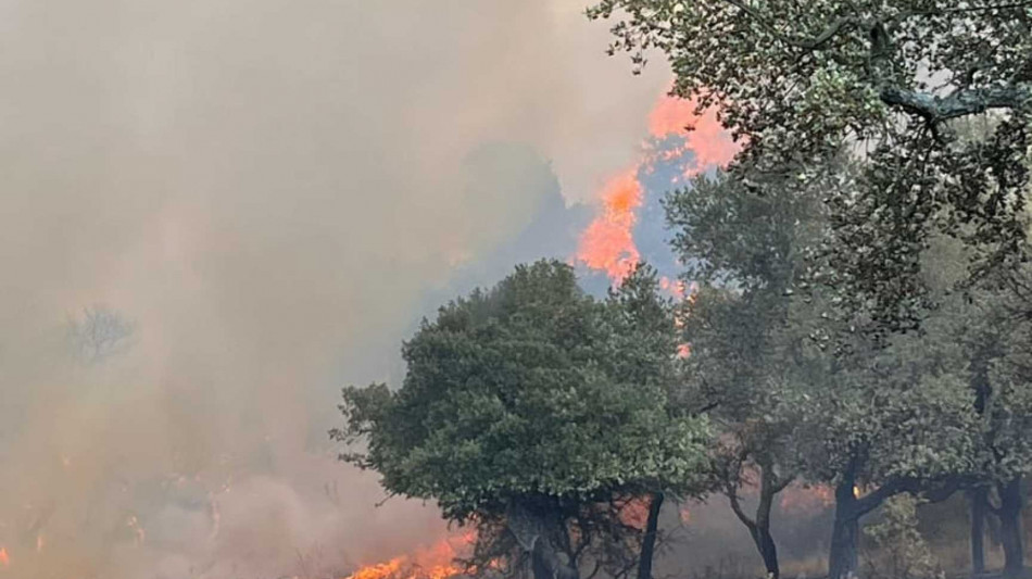 Spento incendio nel Nuorese, pi&ugrave; di 800 ettari bruciati
