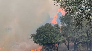 Spento incendio nel Nuorese, pi&ugrave; di 800 ettari bruciati