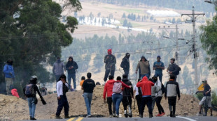 Ecuador's president claims narco gang behind fuel price protests