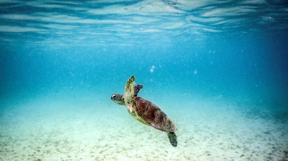 Environnement: sept des neuf "limites planétaires" sont franchies, alertent les chercheurs