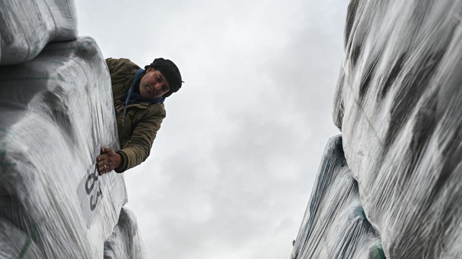 Esperti Onu denunciano sparizioni forzate a centri aiuti Gaza