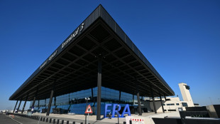 Zwei Tote nach Infektionen mit Malaria an Frankfurter Flughafen