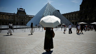 Louvre launches appeal as part of new fundraising drive 