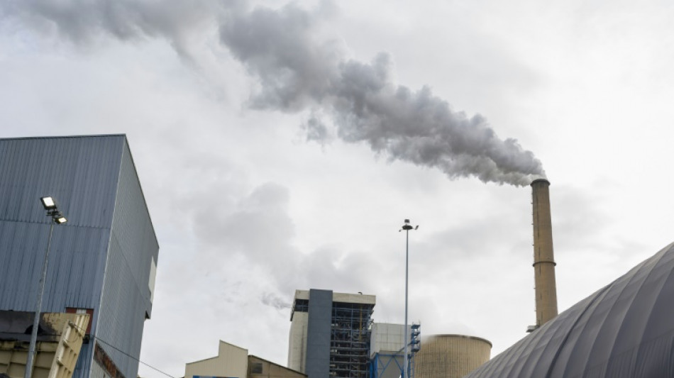 La gouvernement pr&eacute;voit de relancer la centrale &agrave; charbon de Saint-Avold l'hiver prochain
