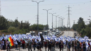 Landesweite Proteste gegen Justizreform in Israel