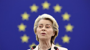 EU-Kommission und Mercosur-Staaten wollen Abkommen unterzeichnen