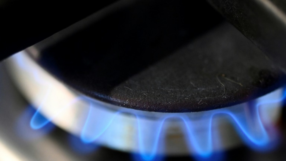 Gas-Kommission schl&auml;gt Einmalzahlung und teilweisen Preisdeckel ab M&auml;rz vor