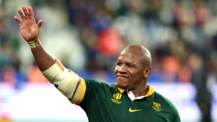 French 'welcome' to support Springboks as thoughts turn to England