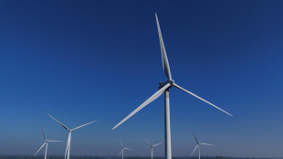 Ecco, 'l'Italia pu&ograve; sostituire il gnl del Qatar con le rinnovabili in un anno'