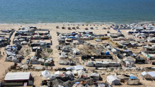 A Gaza, un petit carré de terre "pour survivre un jour de plus"