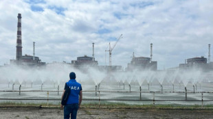 Kreml warnt vor "subversivem Akt" der Ukraine an Akw Saporischschja