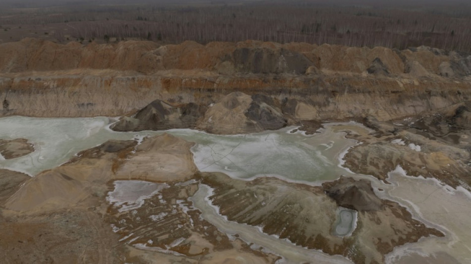Appel Trump-Zelensky après la ratification par Kiev de l'accord sur les minerais