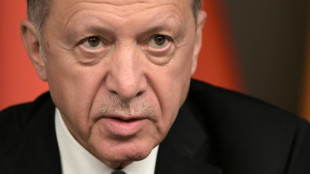 Otan: Erdogan pose l'UE comme condition, Biden chez son alli&eacute; Sunak