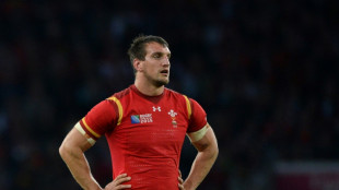 Warburton backs Wales strike that could scupper England Six Nations clash