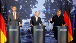 Gr&uuml;nen-Chefin Lang erneuert vor Koalitionsausschuss Kritik an Ampel-Partnern