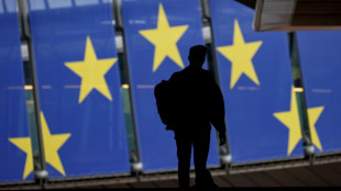Opera&ccedil;&atilde;o em gabinetes do Parlamento Europeu por suspeitas de interfer&ecirc;ncia russa