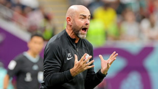 Qatar splits with coach Sanchez after World Cup defeats