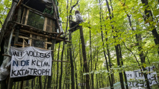 Frankfurter Polizei startet R&auml;umung von Fechenheimer Wald - Lage ruhig