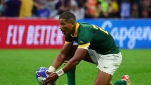 South Africa deny France 'chess game' claims for World Cup quarter-final 