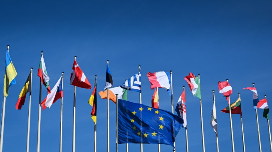 Milh&otilde;es de europeus comparecem &agrave;s urnas para renovar a lideran&ccedil;a da UE