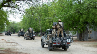 Nigeria denies officers arrested over coup plot