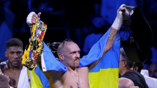 Ukraine's Usyk motivated by boxing and memory of dead friend